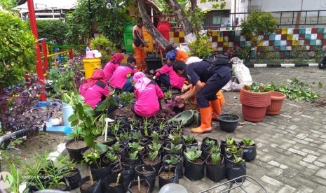 PPSU dan ibu-ibu PKK Kelurahan Pulau Tidung, Kepulauan Seribu memanfaatkan abu vulkanik Gunung Anak Krakatau sebagai media tanam, Jumat (18/1). 