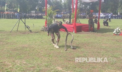 Prajurit Komando Pasukan Khusus (Kopassus) TNI AD melakukan aksi menaklukan ular Kobra di Lapangan Rajawali, Kota Cimahi, Kamis (5/10). Kegiatan dilaksanakan Kodim 0609/Kabupaten Bandung dalam rangka Hari Ulang Tahun (HUT) TNI ke 72.