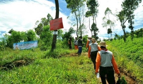 Pramuka tanam 2.000 pohon di lereng Gunung Papandayan