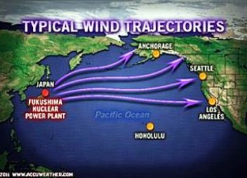 Prediksi lintasan gerak debu radioaktif dari PLTN Fukushima