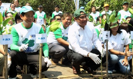 Presiden Direktur BCA Jahja Setiaatmadja (kiri) dan CEO WWF Indonesia Efransjah (kedua dari kanan) melakukan penanaman pohon mangrove, Rabu (18/3/2015).