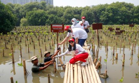 Presiden Direktur PT HM Sampoerna Tbk. (Sampoerna) Vassilis Gkatzelis dan Direktur Urusan Eksternal Elvira Lianita secara simbolis menyerahkan bibit tanaman mangrove kepada mitra tanggung jawab sosial perusahaan Sea Soldier, di Taman Wisata Alam Mangrove, Pantai Indah Kapuk, Jakarta, Sabtu (17/9/2022) menyambut World Cleanup Day 2022.