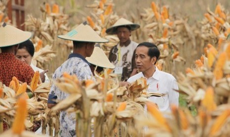 Presiden Joko Widodo