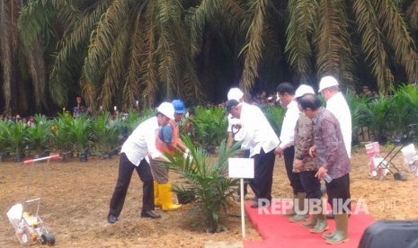 Presiden Joko Widodo bersama Menko Perekonomian, Darmin Nasution, Menteri ATR, Sofyan Djalil, Menteri Pertanian, Amran Sulaeman melakukan kunjungan ke perkebunan sawit rakyat di Kabupaten Bayuasin, Sumatera Selatan, Jumat (13/10).