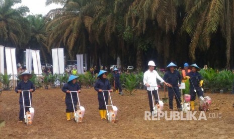 Presiden Joko Widodo bersama Menko Perekonomian, Darmin Nasution, Menteri ATR, Sofyan Djalil, Menteri Pertanian, Amran Sulaeman melakukan kunjungan ke perkebunan sawit rakyat di Kabupaten Bayuasin, Sumatera Selatan, Jumat (13/10).