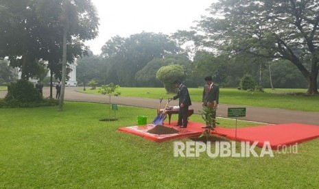 Presiden Joko Widodo dan Sultan Brunei Darussalam, H.M. Sultan Haji Hassanal Bolkiah melakukan penanaman pohon di Istana Kepresidenan, Bogor, Kamis (3/5).