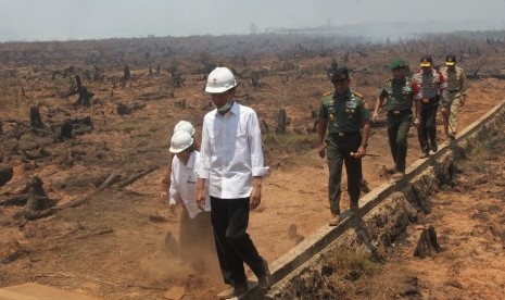 Presiden Joko Widodo didampingi Menteri Kehutanan dan Lingkungan Hidup Siti Nurbaya, Panglima TNI Jenderal Gatot Nurmantyo, Pangdam VI Mulawarman Mayjen TNI Benny Indra, Pejabat Gubernur Kalsel Tarmizi A Karim dan Danrem 101 Antasari Kolonel Inf M Abduh Ra