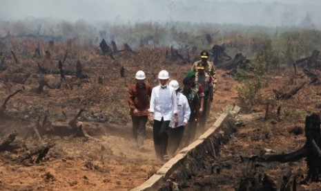 Presiden Joko Widodo didampingi Menteri Kehutanan dan Lingkungan Hidup Siti Nurbayameninjau lokasi bekas kebakaran lahan di desa Guntung Damar, Banjarbaru, Kalimantan Selatan, Rabu (23/9) 