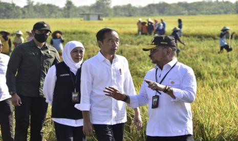 Presiden Joko Widodo didampingi Menteri Pertanian, Syahrul Yasin Limpo melanjutkan peninjauan panen di Kab Ngawi, Provinsi Jawa Timur (Jatim) pada Sabtu(11/3/2023). 