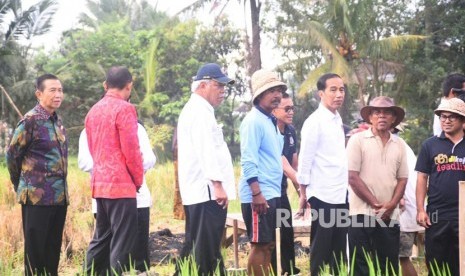 Presiden Joko Widodo didampingi Menteri PUPR Basuki Hadimuljono lokasi Program Padat Karya Tunai (PKT) irigasi di Desa Kukuh, Kecamatan Marga, Kabupaten Tabanan, Provinsi Bali.