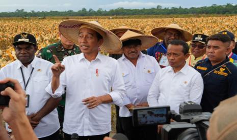 Presiden Joko Widodo (Jokowi) bersama Menteri Pertanian (Mentan) Syahrul Yasin Limpo (SYL) meninjau food estate di Kabupaten Keerom, Papua, Kamis (6/7/2023). 