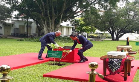 Presiden Joko Widodo (Jokowi) saat menanam pohon meranti dengan Perdana Menteri Palestina Mohammad I.M. Shtayyeh di Istana Kepresidenan Bogor, Jawa Barat, Senin (24/10).