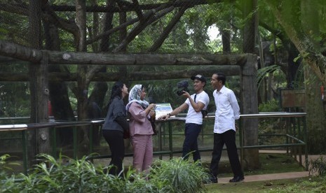 Presiden Joko Widodo (kanan) bersama Ibu Negara Iriana Joko Wododo (kedua kiri) serta putranya Kaesang Pangarep (kedua kanan) dan Kahiyang Ayu mengunjungi Pusat Primata Schmutzer di Kebun Binatang Ragunan Jakarta, Kamis (29/6). 