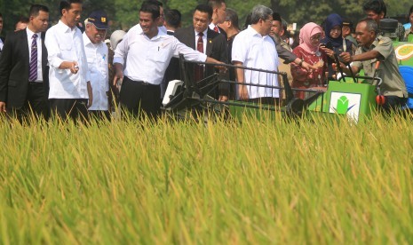 Presiden Joko Widodo (kedua kiri) bersama Menteri PU - Pera, Basuki Hadimoeljono (ketiga kiri) dan Menteri Pertanian, Andi Amran Sulaiman (keempat kiri) melihat proses panen padi dengan mesin panen (combine harvester) saat panen raya di desa Kedokangabus, 