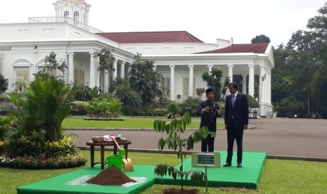 Presiden Joko Widodo (kiri) bersama Emir Qatar Syekh Tamim bin Hamad Al Thani menanam pohon eboni di halaman belakang Istana Bogor, Jawa Barat, Rabu (18/10).