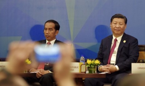 Presiden Joko Widodo (kiri) besama Presiden China Xi Jinping (kanan) saat melakukan dialog antara Pimpinan negara ekonomi dengan APEC Business Advisory Council (ABAC) di Da Nang, Vietnam, Jumat (10/11). 