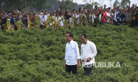 Presiden Joko Widodo (kiri) didampingi Bupati Humbang Hasundutan Dosmar Banjarnahor (kanan) berjalan melintasi perkebunan bawang saat melakukan kunjungan kerja di Humbang Hasundutan, Sumut. (Ilustrasi)