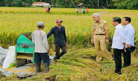 Presiden Joko Widodo mengajak Menhan Prabowo Subianto dan Gubernur Jawa Tengah Ganjar Pranowo saat panen di Desa Lajer, Kecamatan Ambal, Kabupaten Kebumen, Jawa Tengah, Kamis (9/3/2023).