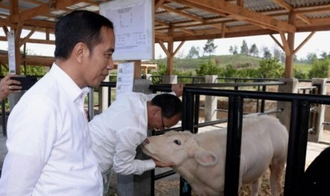 Presiden Joko Widodo mengunjungi desa peternakan dan pertanian di Sumatra Utara.