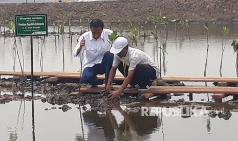 Presiden Joko Widodo mengunjungi revitalisasi tambak udang di Desa Bakti, Kecamatan Muara Gembong, Kabupaten Bekasi, Jawa Barat, Rabu (1/11).