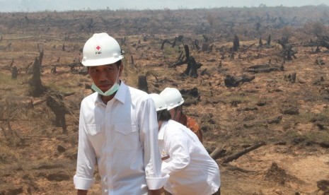 Presiden Joko Widodo meninjau lokasi bekas kebakaran lahan di desa Guntung Damar, Banjarbaru, Kalimantan Selatan, Rabu (23/9).