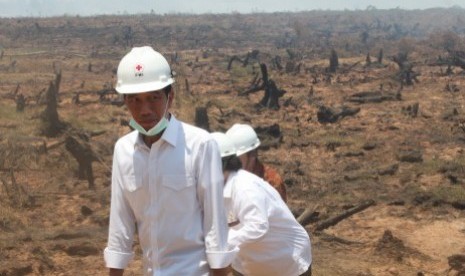 Presiden Joko Widodo meninjau lokasi bekas kebakaran lahan di desa Guntung Damar, Banjarbaru, Kalimantan Selatan, Rabu (23/9).