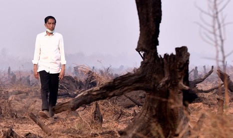 Presiden Joko Widodo meninjau lokasi kebakaran lahan di Kelurahan Guntung Payung, Kecamatan Landasan Ulin, Banjarbaru, Kalsel, Rabu (23/9).