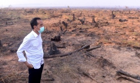 Presiden Joko Widodo meninjau lokasi kebakaran lahan di Kelurahan Guntung Payung, Kecamatan Landasan Ulin, Banjarbaru, Kalsel, Rabu (23/9). Dalam kunjungan kerja selama dua hari di Kalimantan Selatan, selain meninjau lokasi titik api (hotspot), Presiden Jo