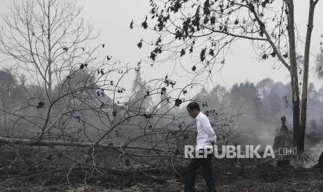 Presiden Joko Widodo meninjau penanganan kebakaran hutan dan lahan di Desa Merbau, Kecamatan Bunut, Pelalawan, Riau, Selasa (17/9/2019).