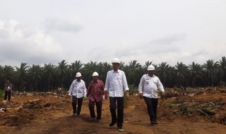 Presiden Joko Widodo meresmikan secara langsung peremajaan perkebunan kelapa sawit, di Kabupaten Rokan Hilir, Rabu (9/5). 