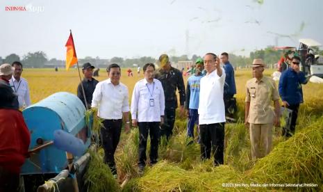 Presiden Joko Widodo saat meninjau panen raya di Subang, Jawa Barat.