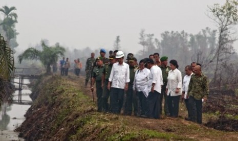 Presiden Joko Widodo (tengah) bersama sejumlah menteri dan pejabat daerah meninjau penanganan kebakaran lahan di Desa Rimbo Panjang Kabupaten Kampar, Riau, Jumat (9/10). 