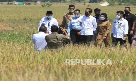 Presiden Joko Widodo (tengah) didampingi Menteri Pertanian Syahrul Yasin Limpo (kedua kanan), Dirut Perum Bulog Budi Waseso (kelima kanan), Wakil Gubernur Jawa Barat Uu Ruzhanul Ulum (kiri) dan Bupati Indramayu Nina Agustina (ketiga kanan) menghadiri panen raya padi di desa Wanasari, Bangodua, Indramayu, Jawa Barat, Rabu (21/4/2021). Selain menghadiri panen raya, Presiden Jokowi juga berdialog untuk menerima keluhan para petani.