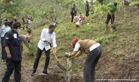 Presiden Joko Widodo (tengah) melakukan penanaman pohon kayu putih di Kawasan Hutan Gunung Pepe, Lombok Tengah,  Nusa Tenggara Barat, Sabtu (13/11). 