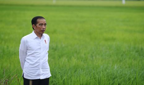 Presiden Joko Widodo.