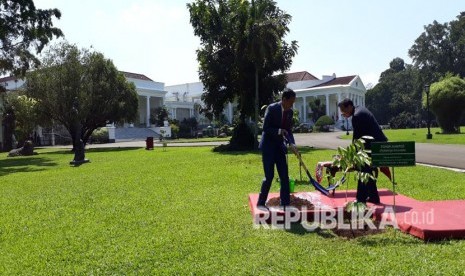 Indonesian President Joko Widodo and Chinese PM Li Keqiang plant a sapling of camphor, or 