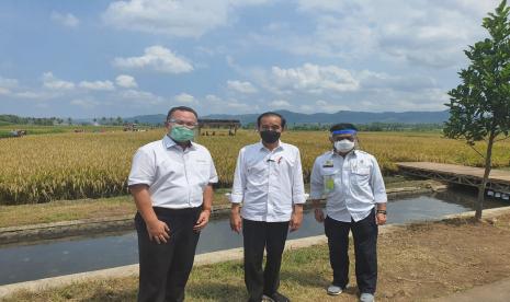 Presiden Jokowi mengunjungi Komunitas Estate Padi (KEP) IPB University di Malang, Jawa Timur, Kamis (29/4).