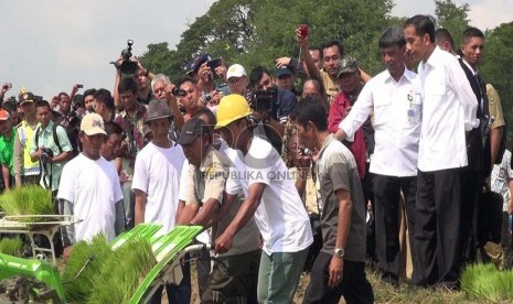 Presiden Jokowi menyaksikan panen musim tanam rendem 2014/2015 dan tanam musim gadu 2015 dengan menggunakan mesin, di Desa Kedokangabus, KEcamatan Gabuswetan, Kabupaten Indramayu, Rabu (18/3).