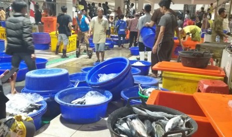 Jokowi Pasar Ikan Muara Baru Tak Kalah Dengan Mal