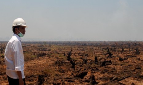 Presiden Jokowi tinjau lahan yang terbakar.