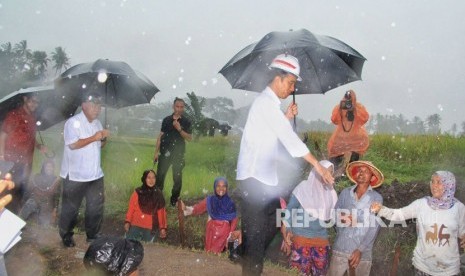 Presiden RI Joko Widodo bersama Menteri PUPR Basuki Hadimuljono meninjau lokasi pembangunan irigasi di Jorong Piliang, Nagari Kaum Limo, Kecamatan Kaum Lima, Kabupaten Tanah Datar, Kamis (8/2). 