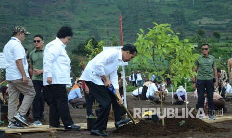 Presiden RI Joko Widodo (Jokowi) menanam pohon di sekitar kawasan Situ Cisanti, Kabupaten Bandung, Kamis (22/2).