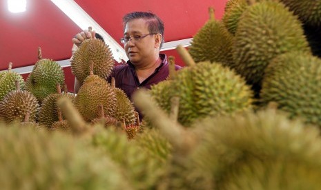 Pria memilih buah durian.