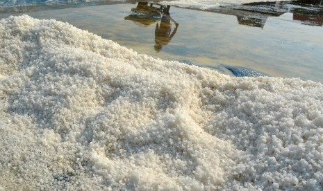 Salt plantation.