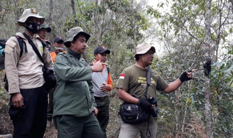 ProFauna Indonesia bersama BKSDA dan Perhutani menemukan potongan dua tangan lutung Jawa di Dusun Perinci, Dau, Kabupaten Malang, Jatim. 