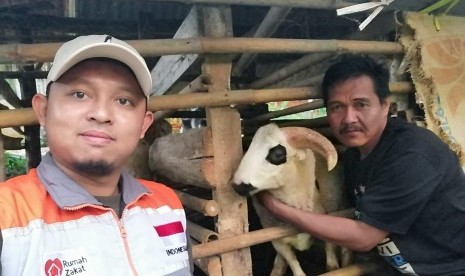 Program Gaduh Domba Rumah Zakat fokus pada sistem bagi hasil anakan domba.