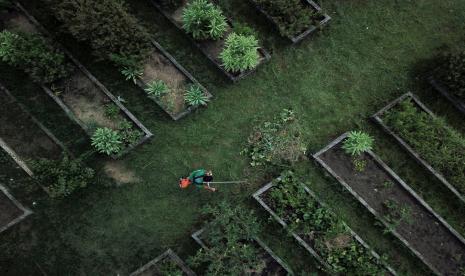 Program Hortas Cariocas di Rio de Janeiro menyulap kampung kumuh menjadi kebun sayur.