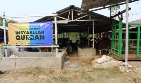 Program Insyaallah Qurban Human Initiative.