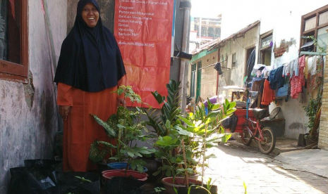 Program kebun keluarga di Tegal.