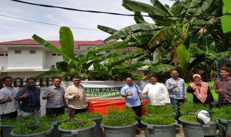 Program Kebun Pangan Dompet Dhuafa Waspada semakin diminati di tengah pandemi Covid-19.